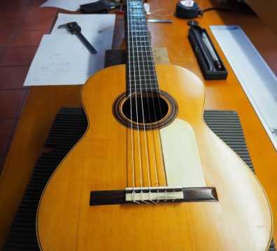 Discovering Antonio de Torres7