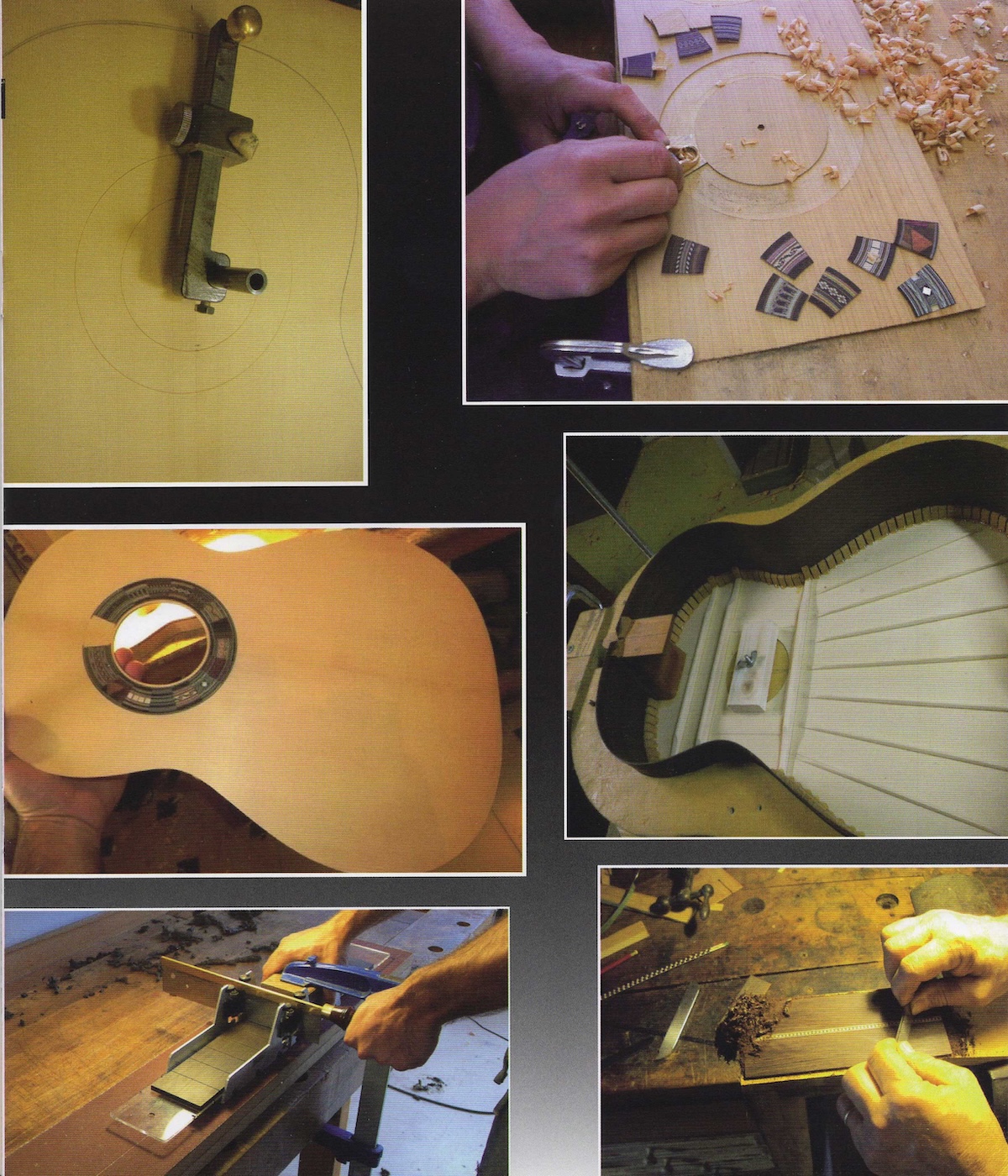 Partecipazione Al Progetto Arcimbolda5