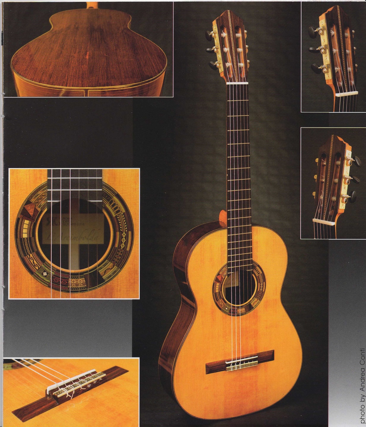 Partecipazione Al Progetto Arcimbolda9